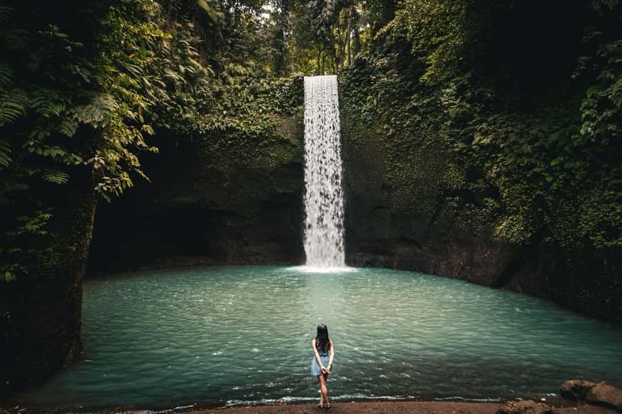 Ubud: Rice Terrace, Holy Water Temple & Waterfalls Trek Tour - Ceking Rice Terrace: a scenic start in Tegallalang