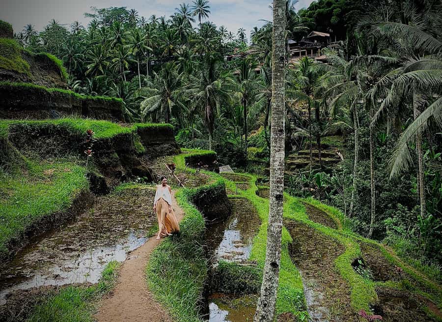 Ubud: Rice Terrace, Holy Water Temple & Waterfalls Trek Tour - Kanto Lampo Waterfall: tiered cascades and photographs