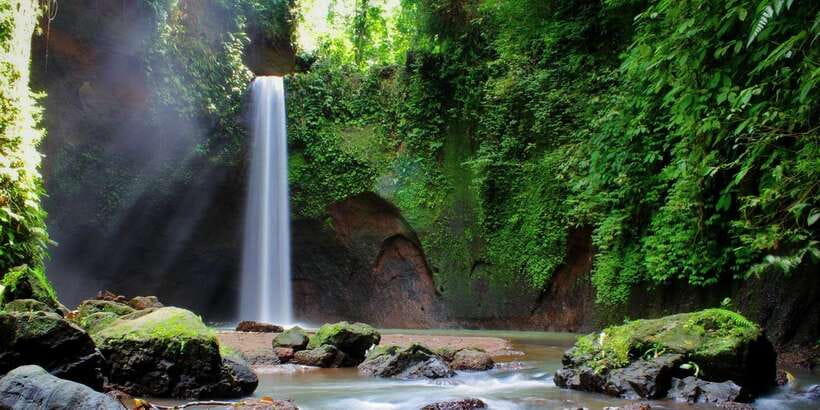 Ubud: Rice Terrace, Holy Water Temple & Waterfalls Trek Tour - Lunch, coffee, and the extras worth considering