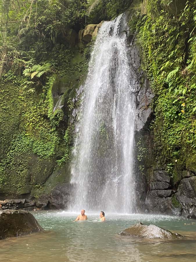 Ubud: Rice Terrace, Monkey Forest, Temple, & Waterfall - Key points to know before booking