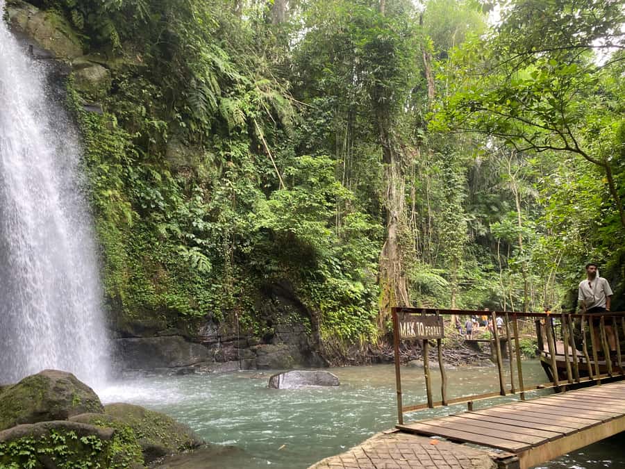 Ubud: Rice Terrace, Monkey Forest, Temple, & Waterfall - Who should book this experience?