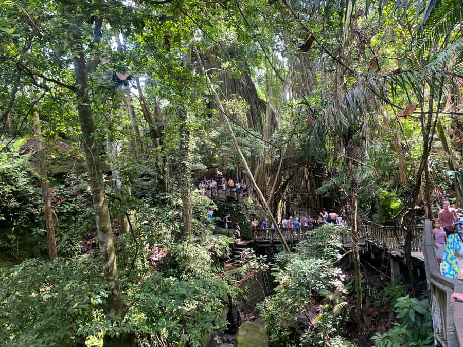 Ubud: Rice Terrace, Monkey Forest, Temple, & Waterfall - Walking through Tegallalang Rice Terrace