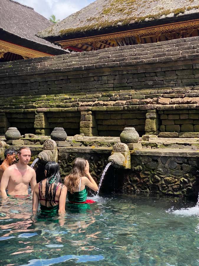 Ubud: Rice Terrace, Monkey Forest, Temple, & Waterfall - Is the $19 price good value?