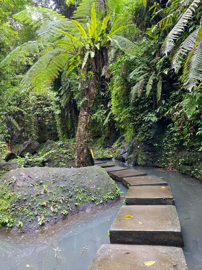 Ubud: Rice Terrace, Monkey Forest, Temple, & Waterfall - Starting with Tirta Empul’s holy water