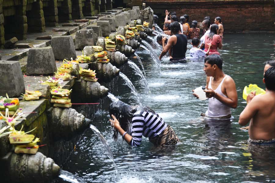 Ubud: Rice Terrace, Waterfall, & Elephant Cave - An early start from South Bali
