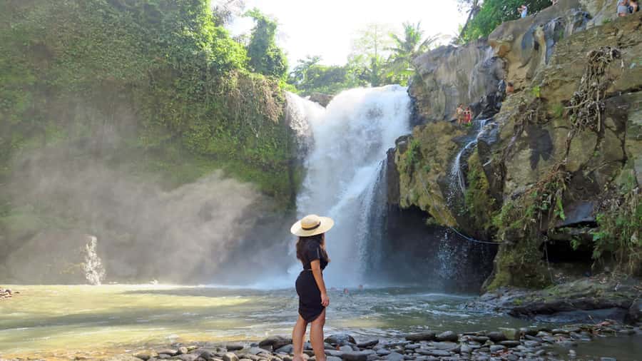 Ubud: Rice Terrace, Waterfall, & Elephant Cave - Kemenuh woodcarving and the working village