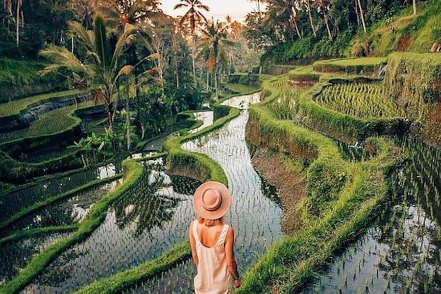 Ubud: Rice Terrace, Waterfall, & Elephant Cave - What the $43 price really covers