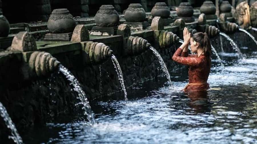 Ubud: Rice Terrace, Waterfall, & Elephant Cave - How much walking and waiting should you expect?