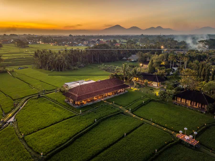 Ubud: Romantic Dinner among the Rice Fields - The five-course menu, from scallops to soufflé