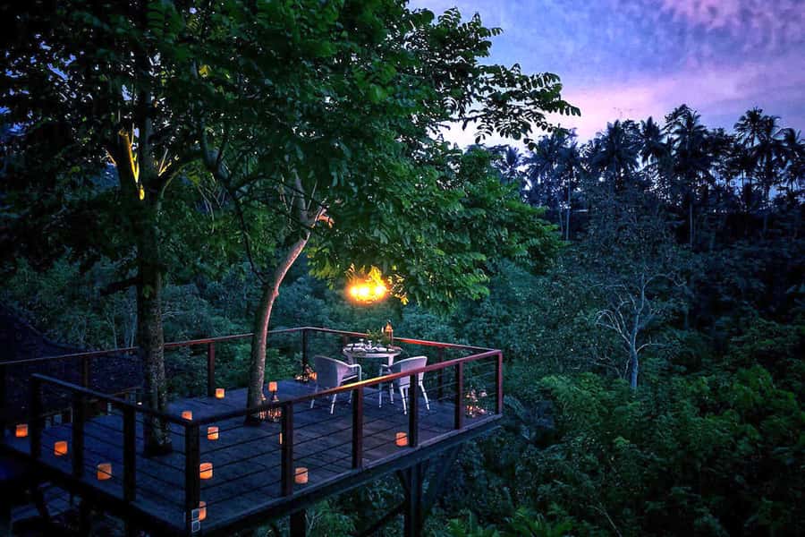 Ubud: Romantic Dinner on a Forest Tree Deck - A six-course dinner with room for dietary choices