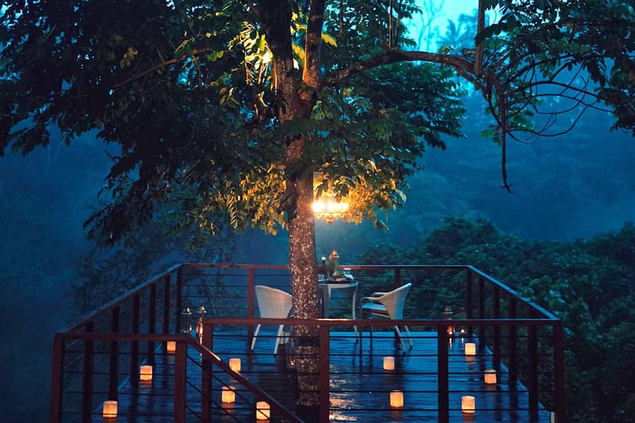 Ubud: Romantic Dinner on a Forest Tree Deck - The tree deck is more romantic than rustic