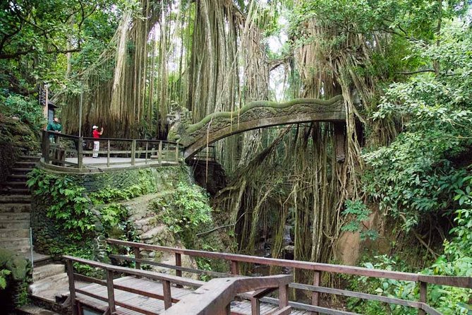 Ubud Sacred Monkey Forest & Art Village Tour - One hour among Ubud’s macaques and temples