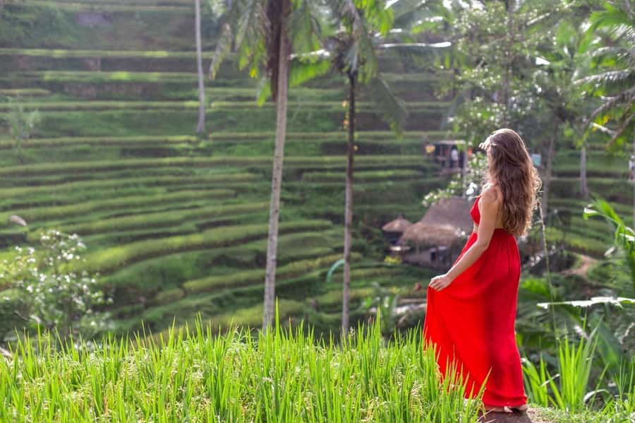Ubud: Semi-Customized Private Tour with Live Guide - A flexible way to see Ubud