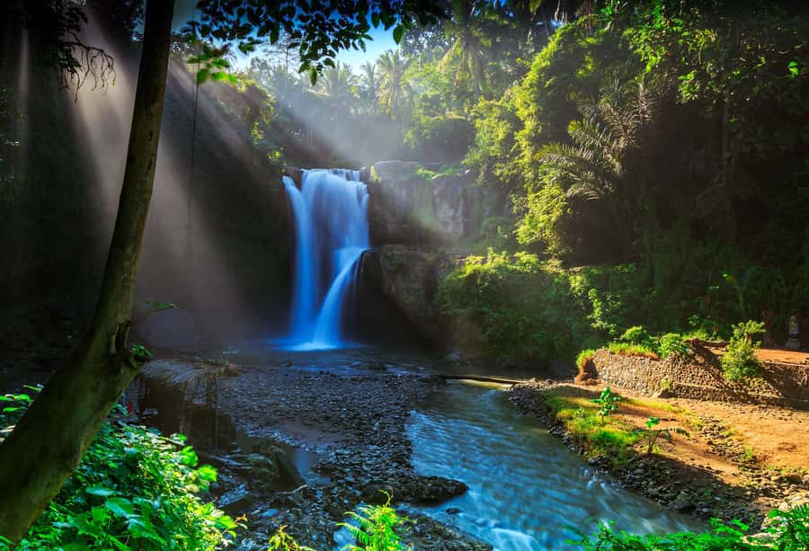 Ubud: Semi-Customized Private Tour with Live Guide - Monkey Forest, with a little caution