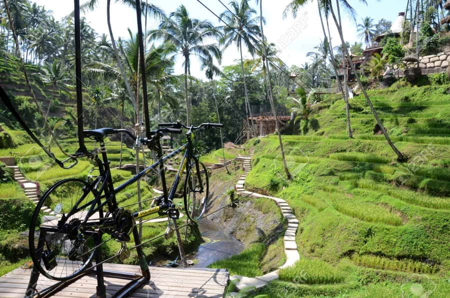 Ubud: Sky Bike Adventure, Swing & Rice Terrace with Transfer - The Ubud jungle swing and photo stops