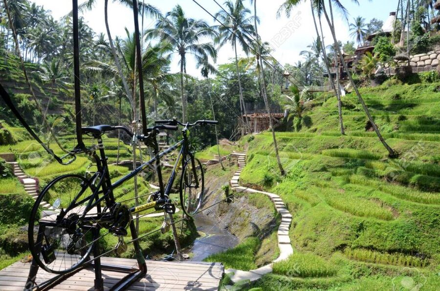 Ubud: Sky Bike Adventure, Swing & Rice Terrace with Transfer - Transfers from Ubud and central Bali