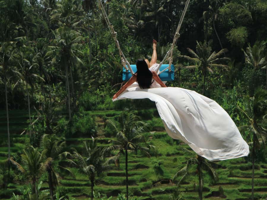 Ubud: Sky Bike Adventure, Swing & Rice Terrace with Transfer - The Sky Bike above Ubud’s rice fields
