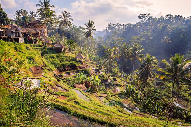 Ubud Small Group Tour: Monkey Forest, Tegalalang Rice Terraces and more - Tegalalang Rice Terraces: The Day’s Most Photogenic Stop