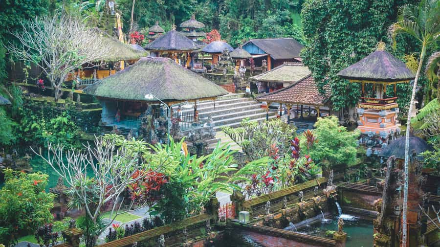 Ubud: Spectacular Waterfalls Tour - Who will get the most from this tour