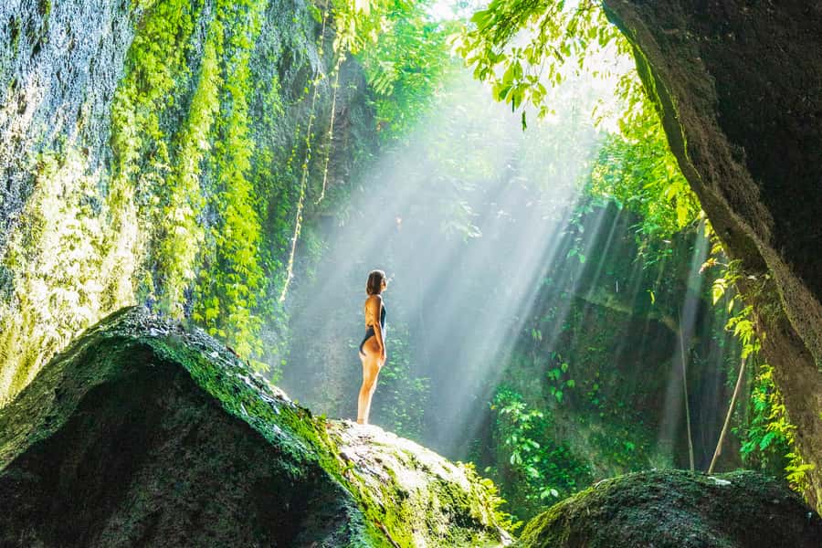 Ubud: Spectacular Waterfalls Tour - Tegalalang Rice Terrace and the final views