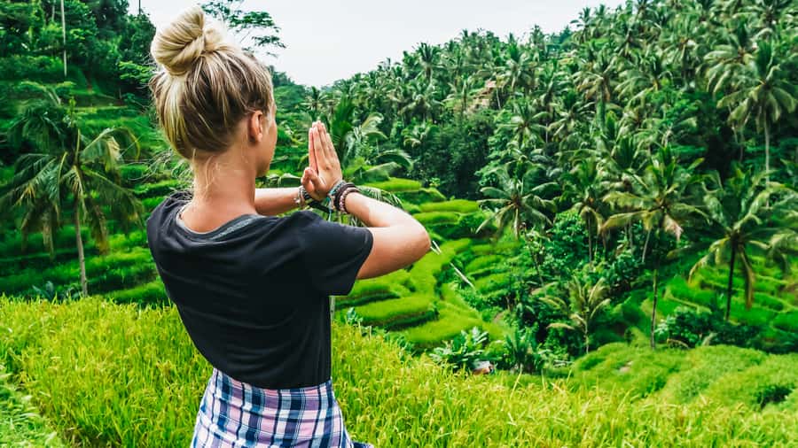 Ubud: Spectacular Waterfalls Tour - What the guides add to the day