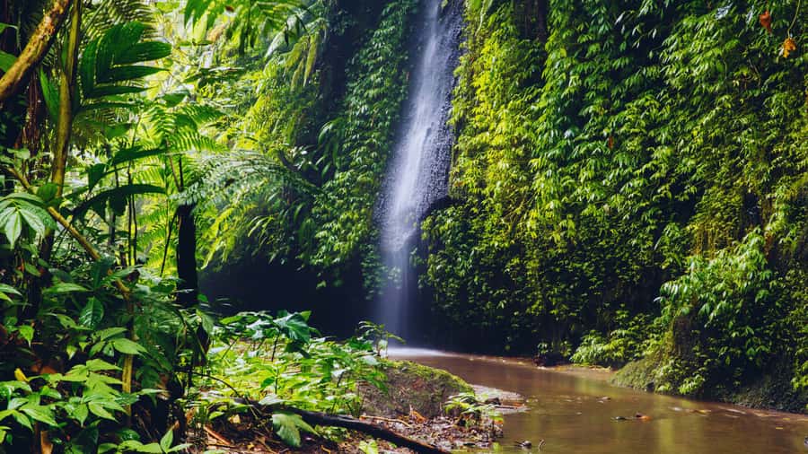 Ubud: Spectacular Waterfalls Tour - Rain, traffic, and the practical trade-offs
