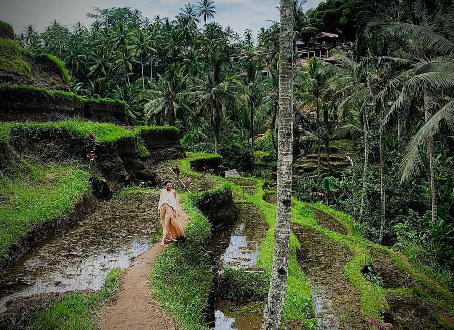 Ubud: Tegalalang Rice Terrace Photos Tour with Swing Ticket - Photo help that matters for solo visitors