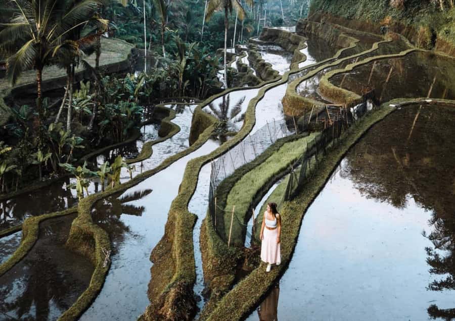 Ubud: Tegalalang Rice Terrace Photos Tour with Swing Ticket - Coffee, tea, and the optional add-ons