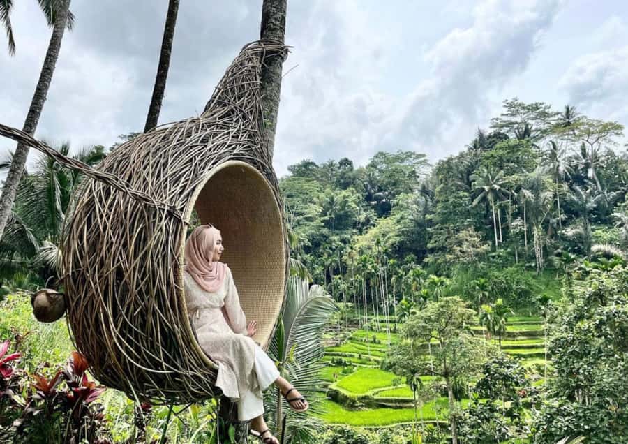 Ubud: Tegalalang Rice Terrace Photos Tour with Swing Ticket - What the $23 price really buys you