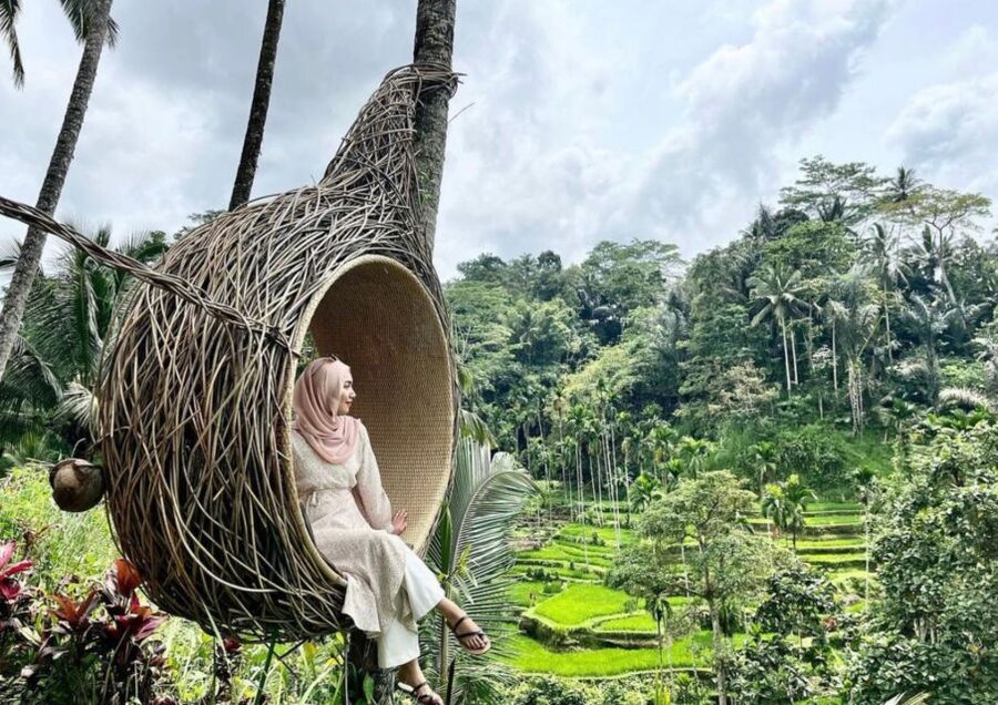 Ubud: Tegalalang Rice Terrace Photos Tour with Swing Ticket - Who will enjoy this most