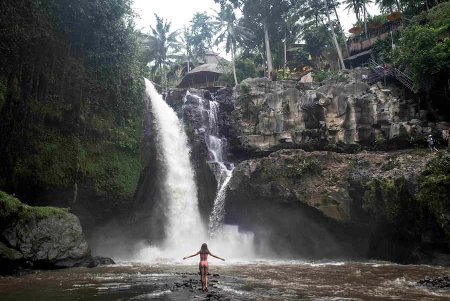 Ubud: Tegenungan Waterfall, Snorkeling, and Canyoning Tour - Who should book this experience?