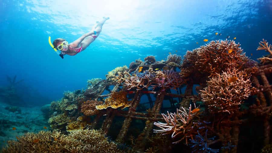 Ubud: Tegenungan Waterfall, Snorkeling, and Canyoning Tour - Snorkeling at Tanjung Jepun and Blue Lagoon Beach
