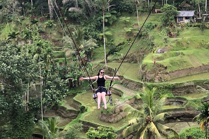 Ubud Tirta Empul Temple Swing And Waterfall Private Guided Tour - Tegenungan Waterfall to finish the route