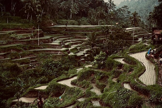 Ubud Top Tours to Discover Bali’s Cultural and Natural Wonders - Kemenuh Monkey River, a calmer forest stop