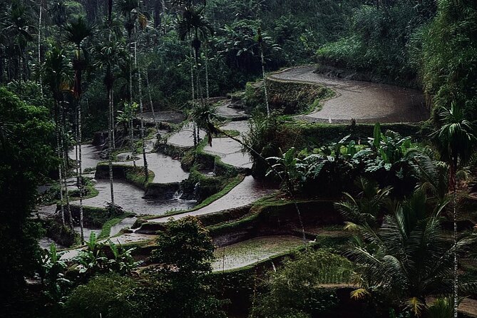 Ubud Top Tours to Discover Bali’s Cultural and Natural Wonders - Pakudui Village and the Tegalalang rice terraces