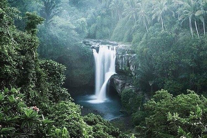 Ubud Top Tours to Discover Bali’s Cultural and Natural Wonders - The driver-guide can shape the whole day