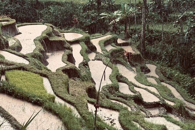 Ubud Top Tours to Discover Bali’s Cultural and Natural Wonders - Ulu Petanu Waterfall and its natural pools