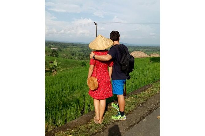 Ubud Tour Monkey Forest, Rice Terrace, Swing, Temple, Waterfall - Sacred Monkey Forest, where temples share the trees