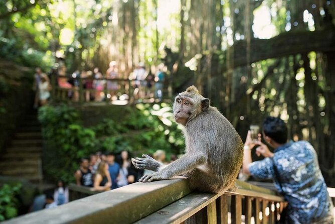 Ubud Tour: Monkey forest, rice terraces, temple, waterfall - The guide can shape the whole day
