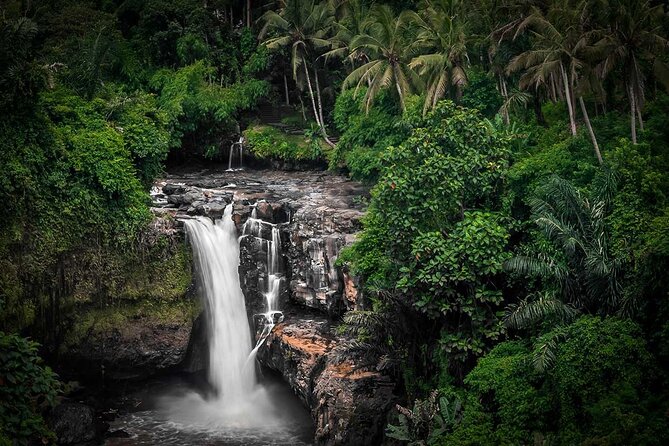 Ubud Tour: Monkey forest, rice terraces, temple, waterfall - Comfort, walking, and the rhythm of the day