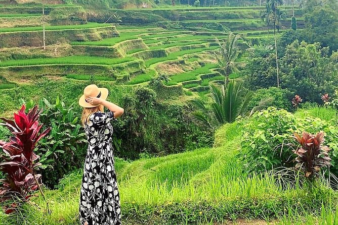 Ubud Tour - Ubud Highlight - Private Tour All inclusive - Sacred Monkey Forest: more than a quick animal stop