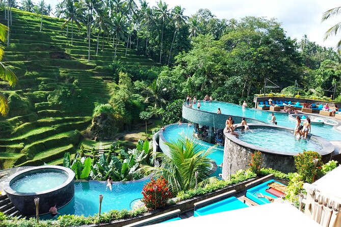 Ubud Tours and Cretya Day Club Pool - A Full Ubud Day From Seminyak