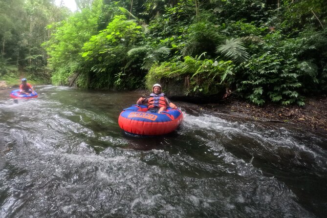 Ubud Tubing Adventure Holy Spring Temple Private Guided Tour - Guides, flexibility, and the private format