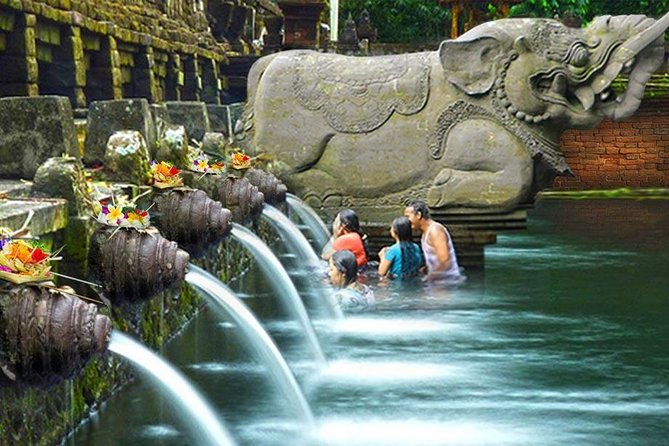Ubud Village Sightseeing, Famous Paddy Field And Ubud Waterfall - What the $45 price really covers