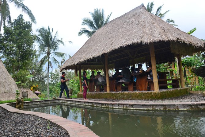 Ubud Village Sightseeing, Famous Paddy Field And Ubud Waterfall - Who will enjoy this Ubud day most