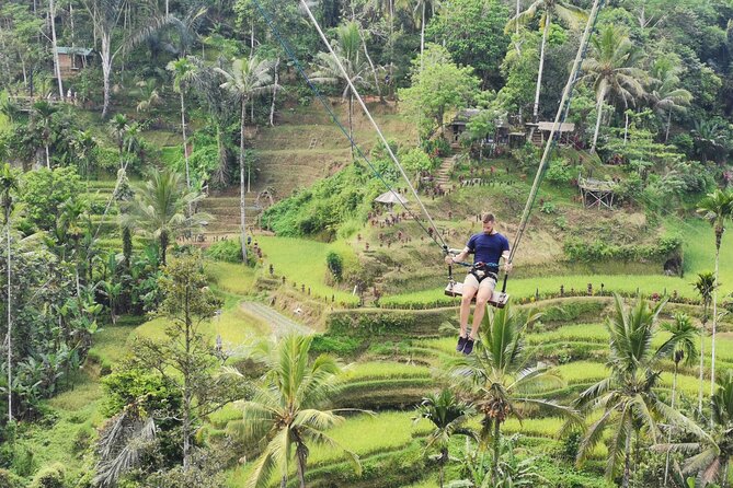 Ubud Village, Tegalalang Rice Terrace Swing, Tirta Empul Temple and Waterfafall - Tirta Empul, where holy spring water shapes the visit