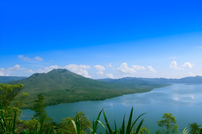Ubud Village, Waterfall and Kintamani Volcano Tour - Sacred Monkey Forest Sanctuary: a compact Ubud nature stop