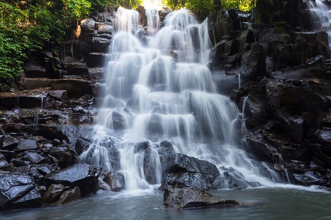 Ubud Waterfall Experience - Who will enjoy this Ubud day trip?