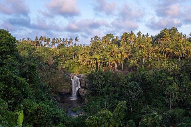 Ubud waterfall, rice terraces, and swing explore - The jungle swing is the high point, at an extra cost