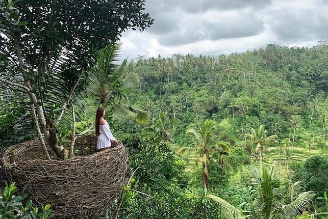 Ubud waterfall, rice terraces, and swing explore - Coffee adds a small cultural touch